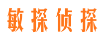 柳城市私家侦探